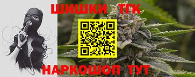 гидропоника Камышлов