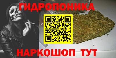гидропоника Камышлов