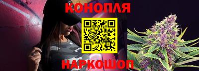 гидропоника Камышлов